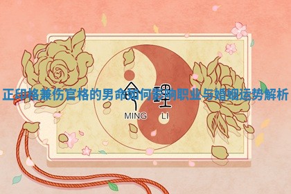 正印格兼伤官格的男命如何影响职业与婚姻运势解析