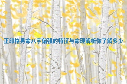 正印格男命八字偏强的特征与命理解析你了解多少