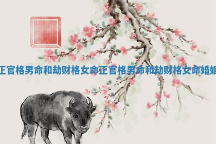 正官格男命和劫财格女命 正官格男命和劫财格女命婚姻