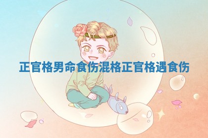 正官格男命食伤混格 正官格遇食伤