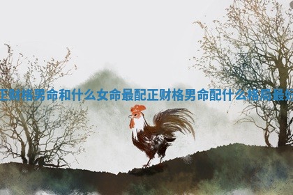 正财格男命和什么女命最配_正财格男命配什么格局最好