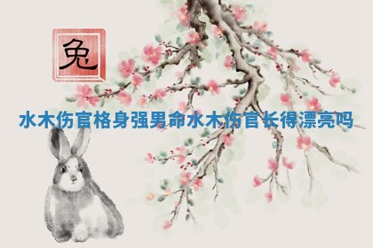 水木伤官格身强男命_水木伤官长得漂亮吗 水木伤官格身强男命_水木伤官长得漂亮吗