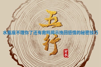 水瓶座不理你了还有救吗揭示挽回感情的秘密技巧