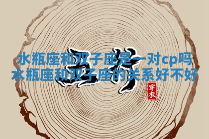 水瓶座和双子座是一对cp吗 水瓶座和双子座的关系好不好