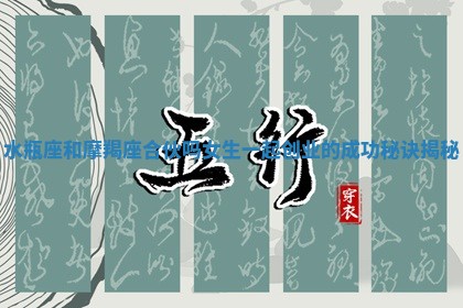 水瓶座和摩羯座合伙吗女生一起创业的成功秘诀揭秘