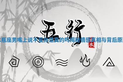 水瓶座男嘴上说不爱你是真的吗揭秘情感真相与背后原因