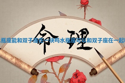 水瓶座能和双子座在一块吗 水瓶座可以和双子座在一起吗