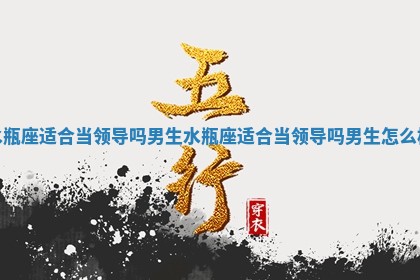 水瓶座适合当领导吗男生 水瓶座适合当领导吗男生怎么样