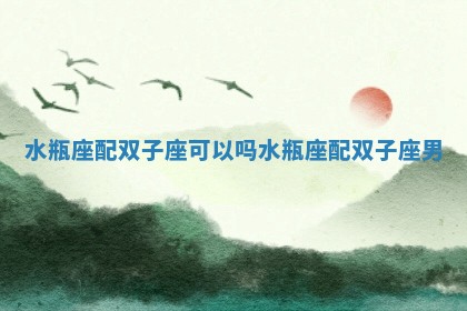 水瓶座配双子座可以吗_水瓶座配双子座男