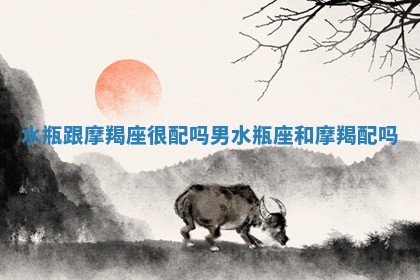 水瓶跟摩羯座很配吗男 水瓶座和摩羯配吗
