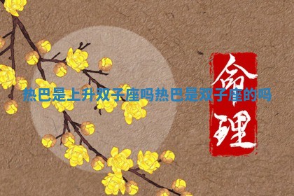 热巴是上升双子座吗_热巴是双子座的吗 热巴是上升双子座吗_热巴是双子座的吗