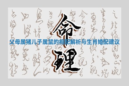 父母属猪儿子属鼠的相配解析与生肖婚配建议