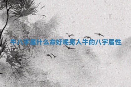 牛八字属什么命好呢男人_牛的八字属性 牛八字属什么命好呢男人_牛的八字属性