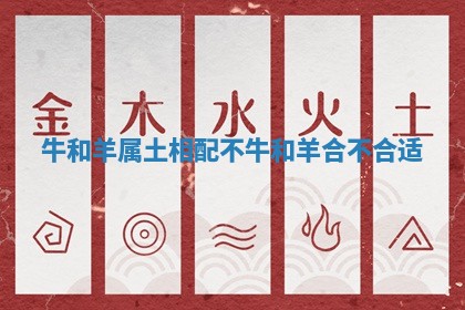 牛和羊属土相配不_牛和羊合不合适