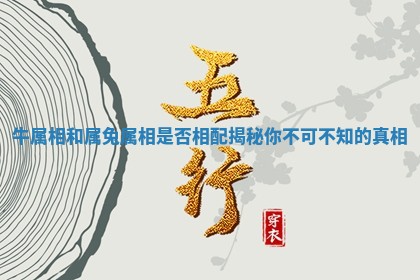 牛属相和属兔属相是否相配揭秘你不可不知的真相