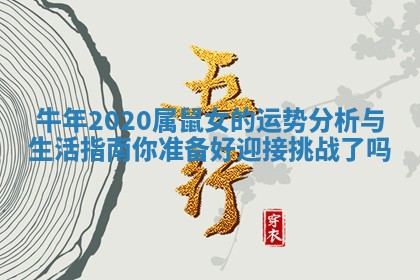牛年2020属鼠女的运势分析与生活指南你准备好迎接挑战了吗