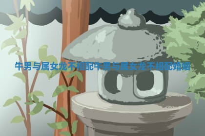 牛男与属女龙不相配 牛男与属女龙不相配婚姻 牛男与属女龙不相配 牛男与属女龙不相配婚姻