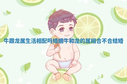 牛跟龙属生活相配吗婚姻 牛和龙的属相合不合结婚 牛跟龙属生活相配吗婚姻 牛和龙的属相合不合结婚