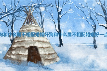 狗和什么属不相配婚姻好 狗和什么属不相配婚姻好一点