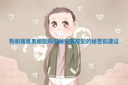 狗和猪属男相配吗揭秘完美搭配的秘密和建议