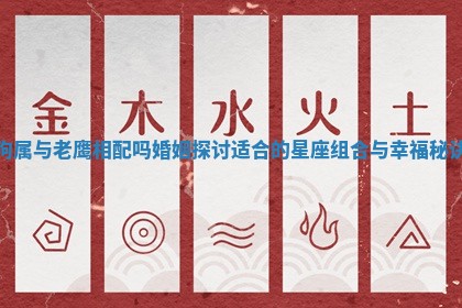 狗属与老鹰相配吗婚姻探讨适合的星座组合与幸福秘诀