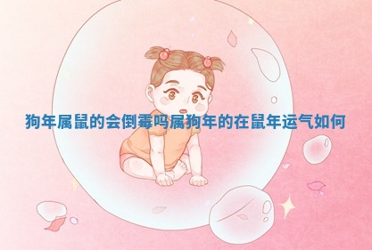 狗年属鼠的会倒霉吗 属狗年的在鼠年运气如何