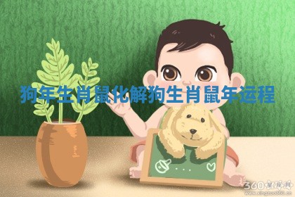 狗年 生肖鼠 化解 狗生肖鼠年运程