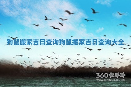 狗鼠搬家吉日查询 狗鼠搬家吉日查询大全