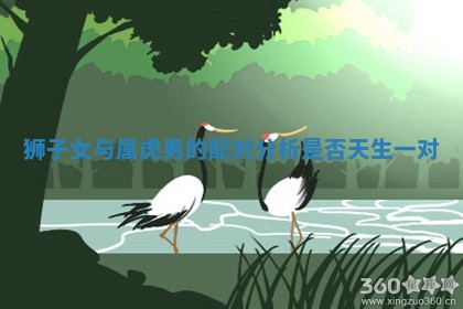 狮子女与属虎男的配对分析是否天生一对