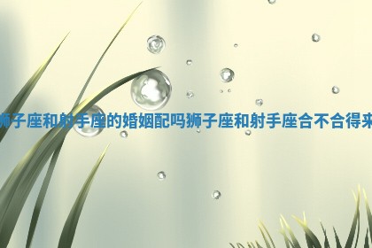 狮子座和射手座的婚姻配吗_狮子座和射手座合不合得来 狮子座和射手座的婚姻配吗_狮子座和射手座合不合得来