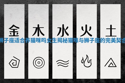 狮子座适合养猫咪吗女生揭秘猫咪与狮子座的完美契合