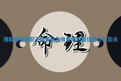 猪和属鼠相配不配揭秘生肖爱情的最佳组合与忌讳