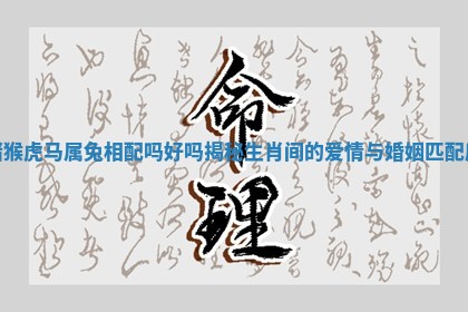 猪猴虎马属兔相配吗好吗揭秘生肖间的爱情与婚姻匹配度