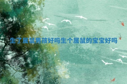 生了属鼠男孩好吗 生个属鼠的宝宝好吗