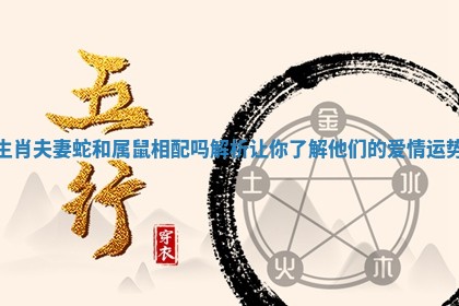 生肖夫妻蛇和属鼠相配吗解析让你了解他们的爱情运势