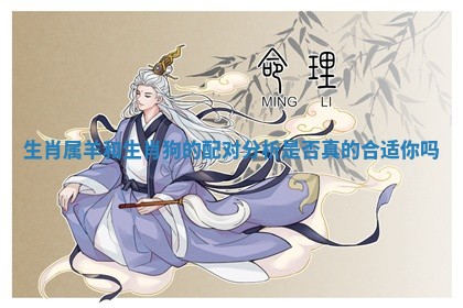 生肖属羊和生肖狗的配对分析是否真的合适你吗