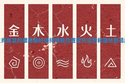 生肖属鼠的楼层最好选择哪些位置提升运势和居住舒适度