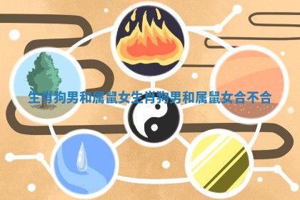 生肖狗男和属鼠女_生肖狗男和属鼠女合不合