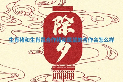 生肖猪和生肖鼠合作 猪和属鼠的合作会怎么样