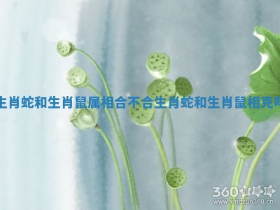 生肖蛇和生肖鼠属相合不合 生肖蛇和生肖鼠相克吗