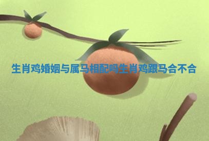 生肖鸡婚姻与属马相配吗_生肖鸡跟马合不合
