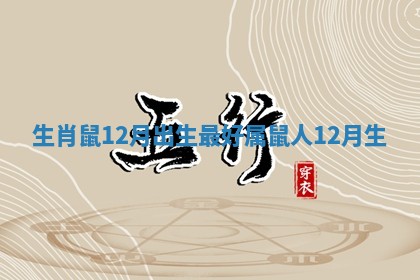 生肖鼠12月出生最好_属鼠人12月生