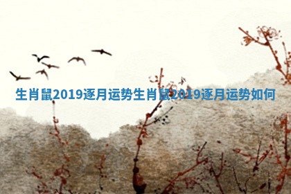 生肖鼠2019逐月运势 生肖鼠2019逐月运势如何