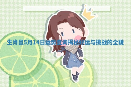 生肖鼠5月14日运势查询揭秘好运与挑战的全貌