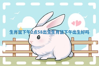 生肖鼠下午2点58出生_生肖鼠下午出生好吗 生肖鼠下午2点58出生_生肖鼠下午出生好吗