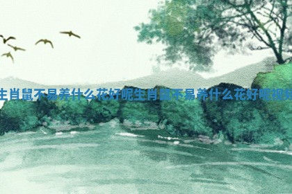 生肖鼠不易养什么花好呢 生肖鼠不易养什么花好呢视频 生肖鼠不易养什么花好呢 生肖鼠不易养什么花好呢视频