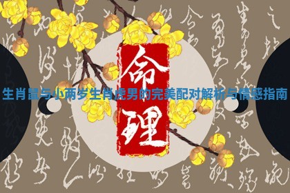 生肖鼠与小两岁生肖虎男的完美配对解析与情感指南