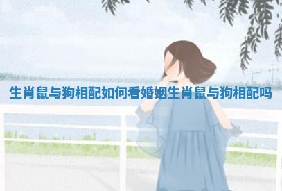 生肖鼠与狗相配如何看婚姻 生肖鼠与狗相配吗