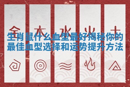 生肖鼠什么血型最好揭秘你的最佳血型选择和运势提升方法 生肖鼠什么血型最好揭秘你的最佳血型选择和运势提升方法