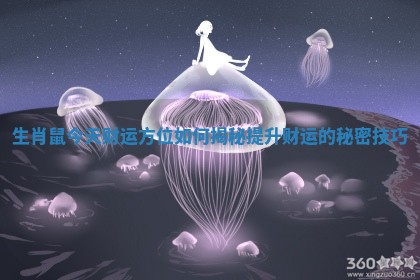 生肖鼠今天财运方位如何揭秘提升财运的秘密技巧